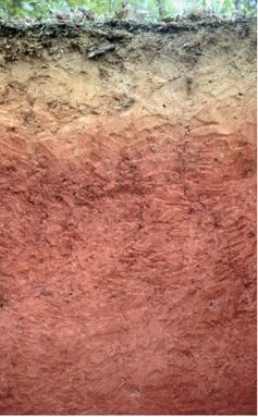 Loam layers.jpg