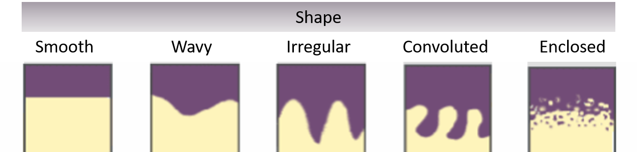 Shape.png